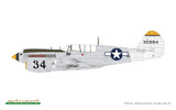 84210 P-40N Warhawk WEEKEND 1/48 by EDUARD