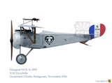 32002 NIEUPORT XVII Late 1/32 by COPPER STATE MODELS
