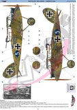 481306 HALBERSTADT CL.II Early Version 1/48 by MIRAGE HOBBY